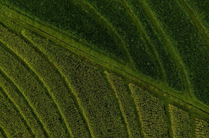 strategic competitive growth analysis