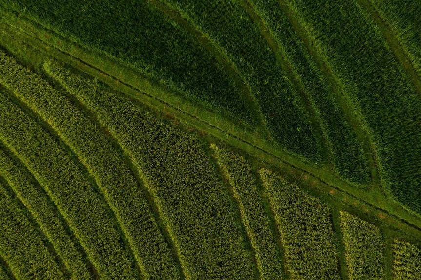 strategic competitive growth analysis